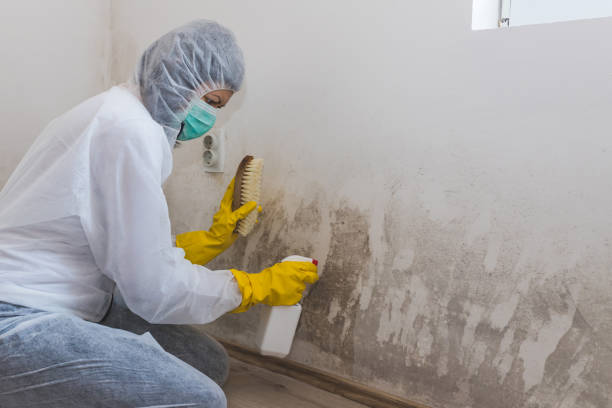 Crawl Space Mold Removal in West Milton, PA