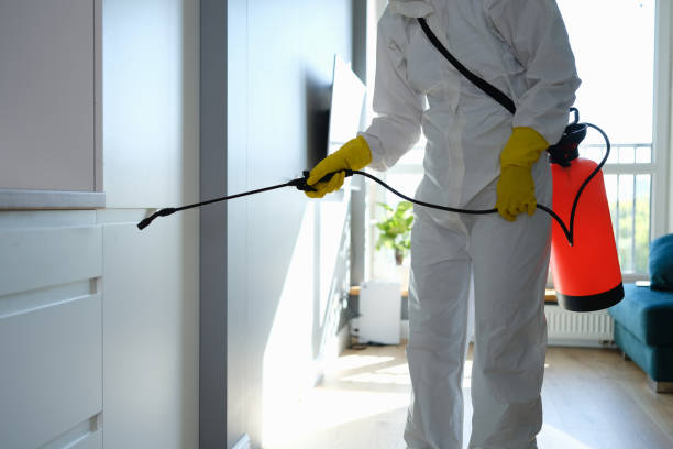 Best Local Mold Removal Service  in West Milton, PA