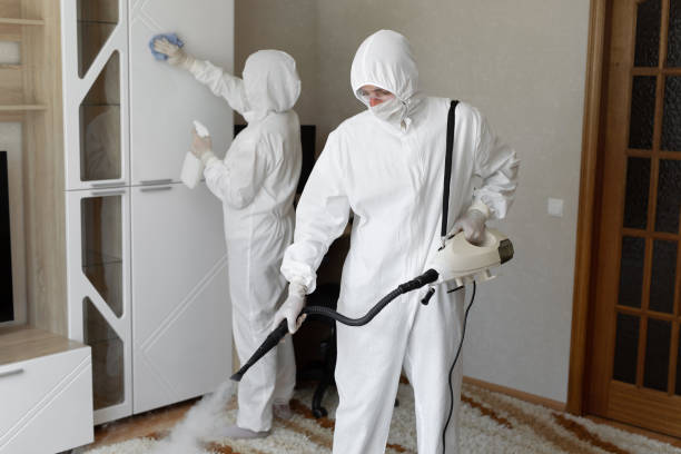 Mold Removal Process in West Milton, PA
