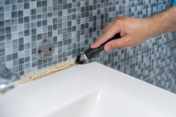 Best Mold Removal Specialists  in West Milton, PA